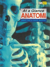 At a Glance ANATOMI